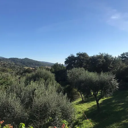 Holiday home Souleiadito Le Plan-de-la-Tour